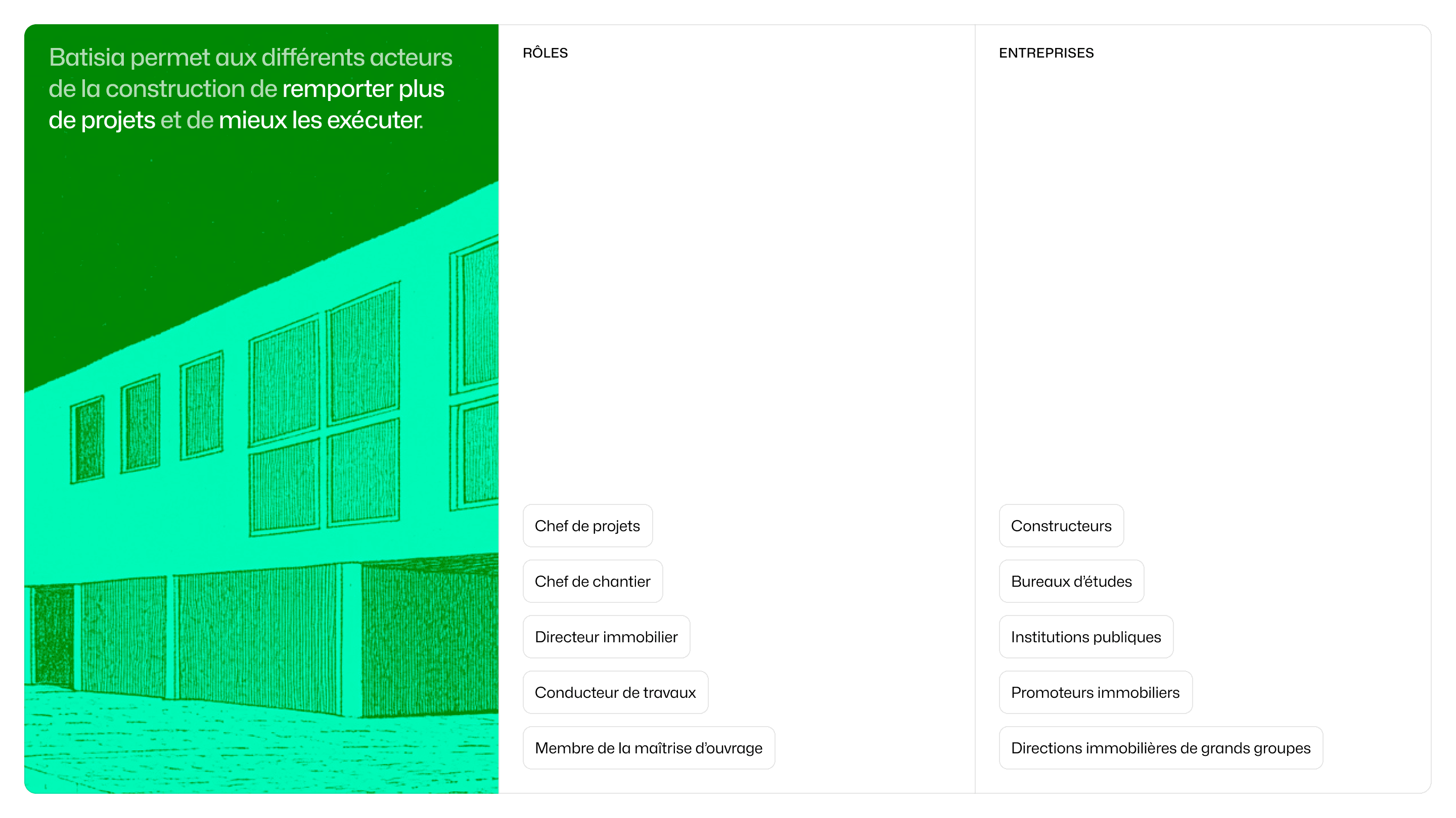 Batisia, design visual 6 of 13
